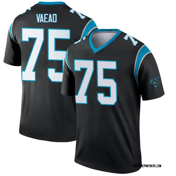 panthers jersey for youth